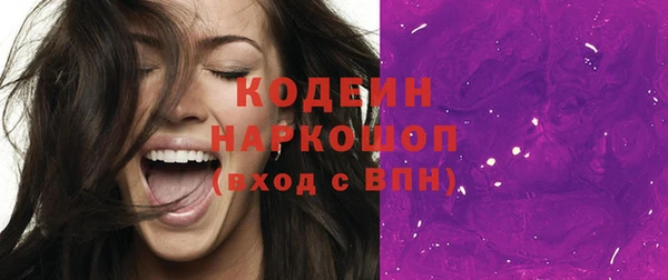 твердый Снежногорск