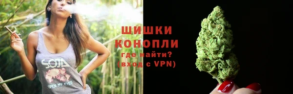 амф Слюдянка