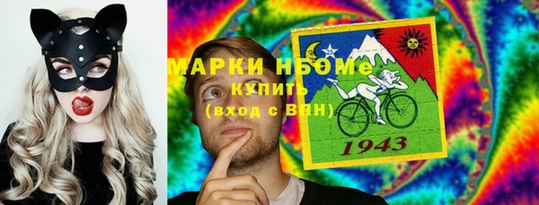 твердый Снежногорск