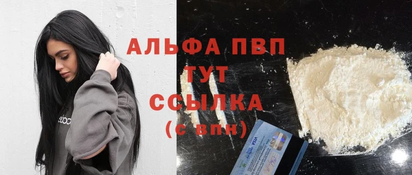 твердый Снежногорск