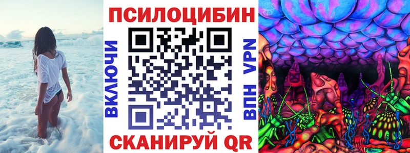наркота  Сычёвка  Псилоцибиновые грибы прущие грибы 